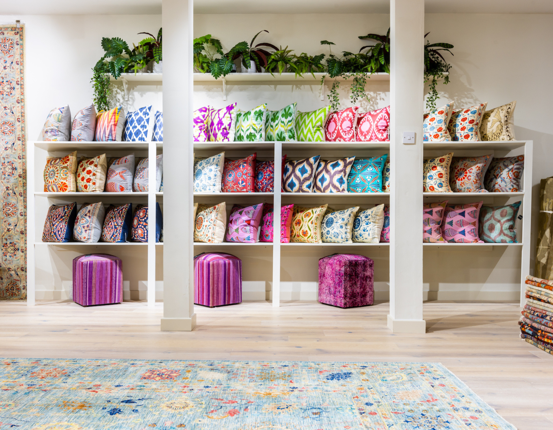 rugs shop